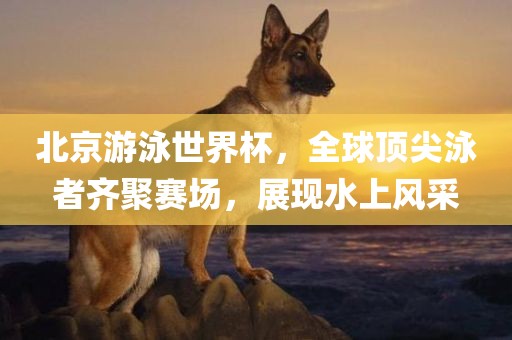 shiyijing 第3页