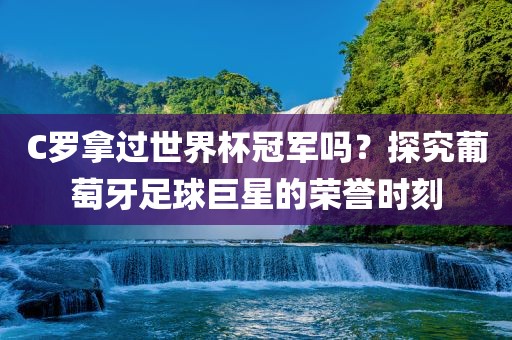 taohe 第4页