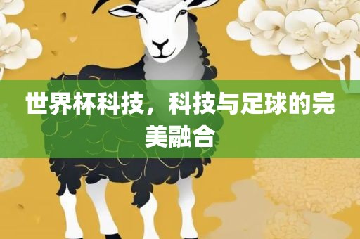 世界杯科技，科技与足球的完美融合江门市永晋源无纺布有限公司