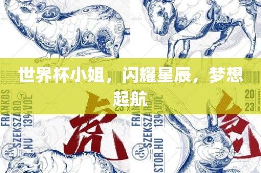 世界杯小姐，闪耀星辰，梦想起航