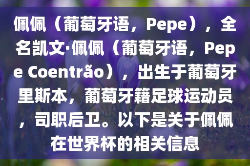 佩佩（葡萄牙语，Pepe），全名凯文·佩佩（葡萄牙语，Pepe Coentr?o），出生于葡萄牙里斯本，葡萄牙籍足球运动员，司职后卫。以下是关于佩佩在世界杯的相关信息
