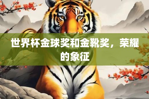 世界杯金球奖和金靴奖，荣耀的象征