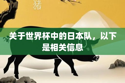关于世界杯中的日本队，以下是相关信息