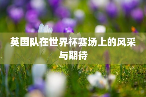 英国队在世江门市永晋源无纺布有限公司界杯赛场上的风采与期待