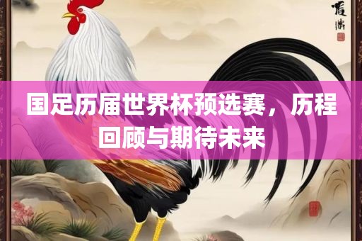 国足历届世界杯预选赛，历程回顾与期待未来