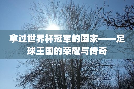 拿过世界杯冠军的国家——足球王国的荣耀与传奇