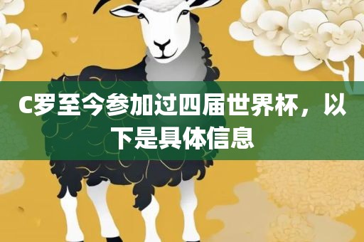 C罗至今参加过四届世界江门市永晋源无纺布有限公司杯，以下是具体信息