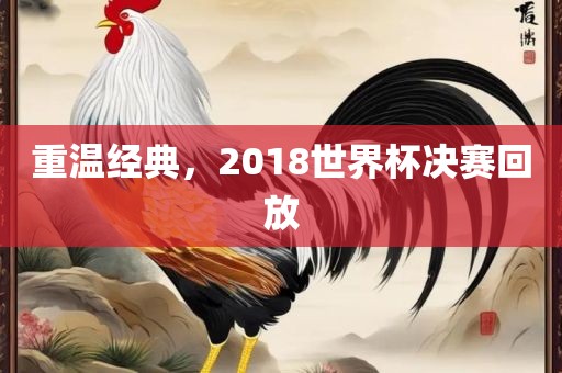 重温经典，2018世界杯决赛回放江门市永晋源无纺布有限公司