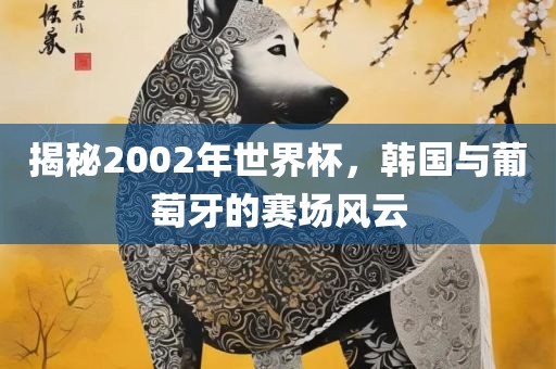 揭秘2002年世界杯，韩国与葡萄牙的赛场风云