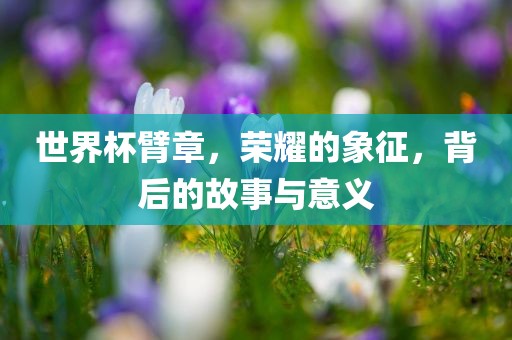 世界杯臂章，荣耀的象征，背后的故事与意义