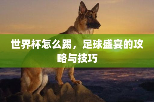 世界杯怎么踢，足球盛宴的攻略与技巧