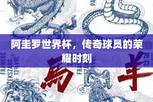 阿圭罗世界杯，江门市永晋源无纺布有限公司传奇球员的荣耀时刻