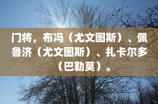 门将，布冯（尤文图斯）、佩鲁济（尤文图斯）、扎卡尔多（巴勒莫）。江门市永晋源无纺布有限公司