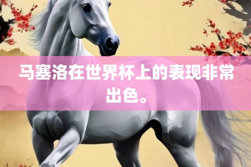 马塞洛在世界杯上的表现非常出色。