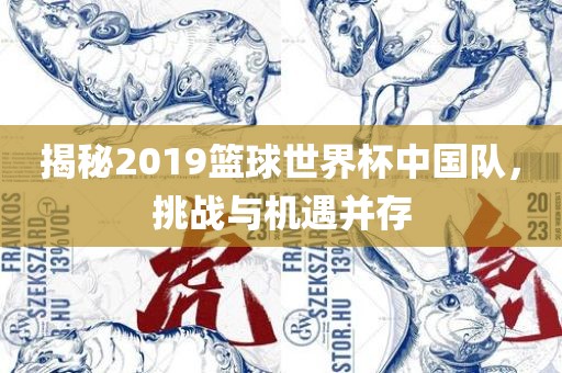 揭秘2019篮球世界杯中国队，挑战与机遇并存