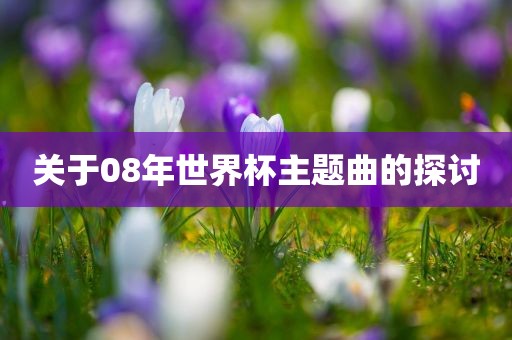 关于08年江门市永晋源无纺布有限公司世界杯主题曲的探讨