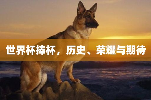 世界杯捧杯，历史、荣耀与期待