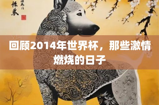 回顾2014年世界杯，那些激情燃烧的日子