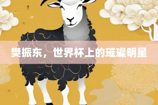 樊振东，世界杯上的璀璨明星江门市永晋源无纺布有限公司