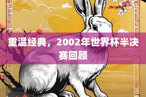 重温经典，2002年世界杯半决赛回顾
