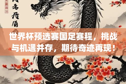 世界杯预选赛国足赛程，挑战与机遇并存，期待奇迹再现！