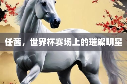 任茜，世界杯赛场上的璀璨明星江门市永晋源无纺布有限公司
