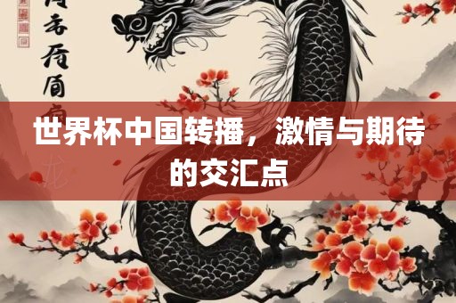 世界杯中国转播，激情与期待的交汇点