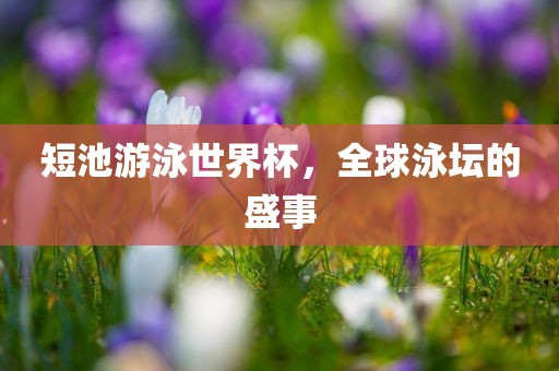 短池游泳世界杯江门市永晋源无纺布有限公司，全球泳坛的盛事