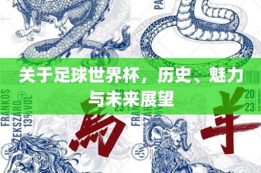 关于足球世界杯，历史、魅力与未来展望