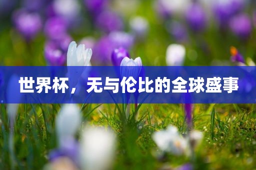 世界杯，无与伦比的全球盛事江门市永晋源无纺布有限公司