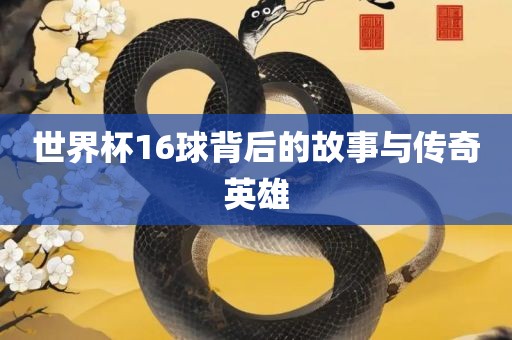 世界杯16球背后的故事与传奇英雄