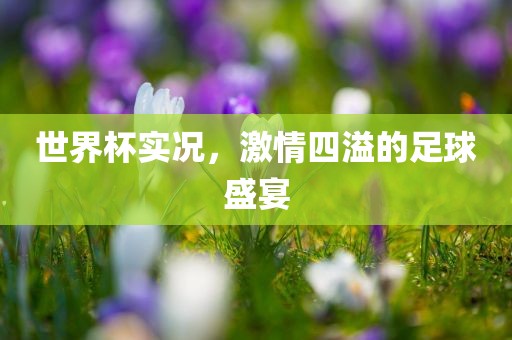 世界杯实况，激情四溢的足球盛宴