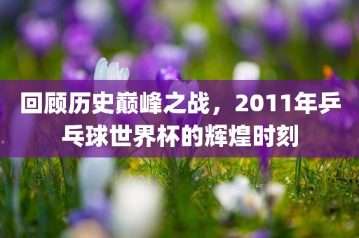 回顾历史巅峰之战，2011年乒乓球世界杯的辉煌时刻