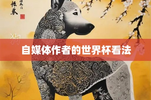 自媒体作者的世界杯看法