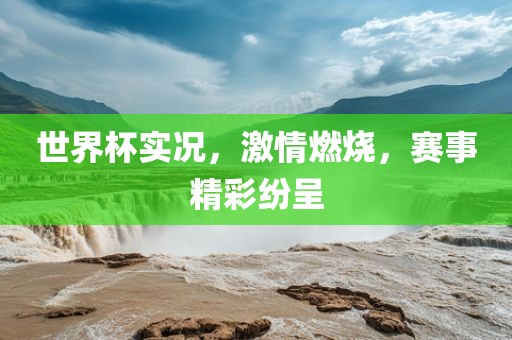 世界杯实况，激情燃烧，赛事精彩纷呈