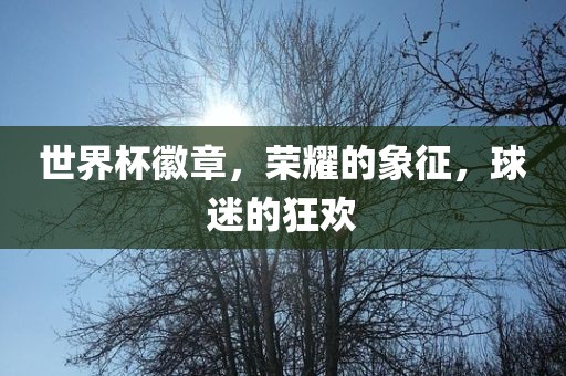 世界杯徽章，荣耀的象征，球迷的狂欢