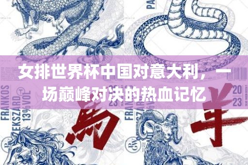 女排世界杯中国对意大利，一场巅峰对决的热血记忆江门市永晋源无纺布有限公司