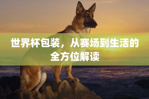 世界杯包装，从赛场到生活的全方位解读
