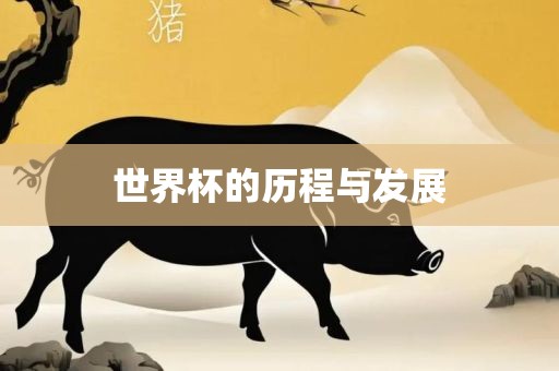 世界杯的历程与发展
