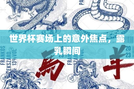 世界杯赛场上的意外焦点，露乳瞬间