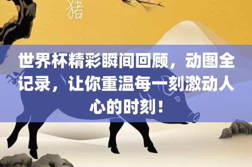 世界杯精彩瞬间回顾，动图全记录，让你重温每一刻激动人心的时刻！