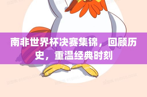 南非世界杯决赛集锦，回顾历史，重温经典时刻