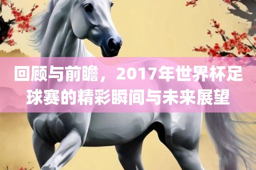 回顾与前瞻，2017年世界杯足球赛的精彩瞬间与未来展望