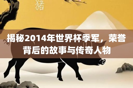 揭秘2014年世界杯季军，荣誉背后的故事与传奇人物