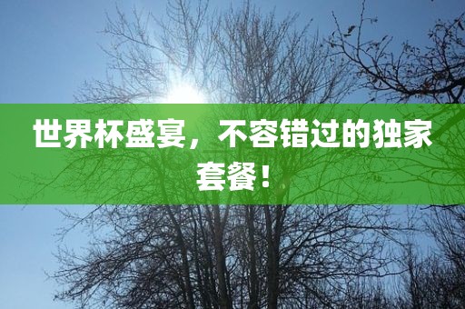 世界杯盛宴，不容错过的独家套餐！