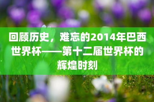 回顾历史，难忘的2014年巴西世界杯——第十二届世界杯的辉煌时刻