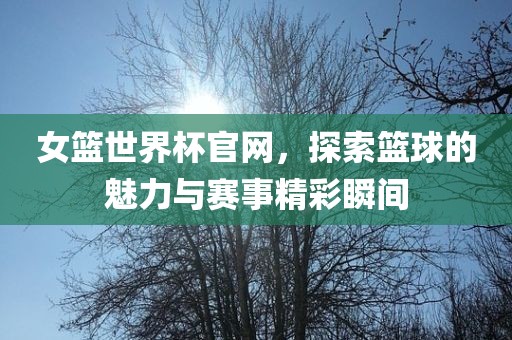 女篮世界杯官网，探索篮球的魅力与赛事精彩瞬间江门市永晋源无纺布有限公司