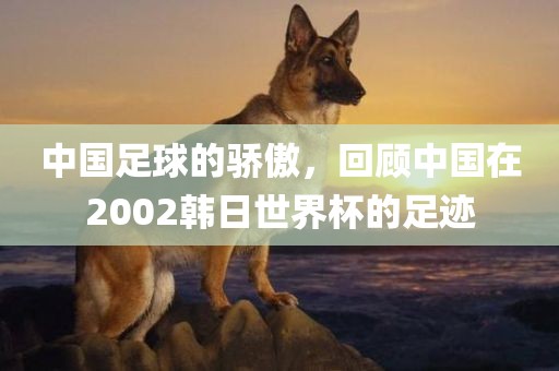 中国足球的骄傲，回顾中国在2002韩日世界杯的足迹