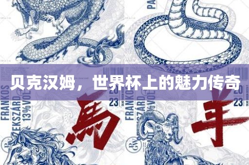 贝克汉姆，世界杯上的魅力传奇江门市永晋源无纺布有限公司