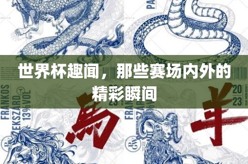 世界杯趣闻，那些赛场内外的精彩瞬间